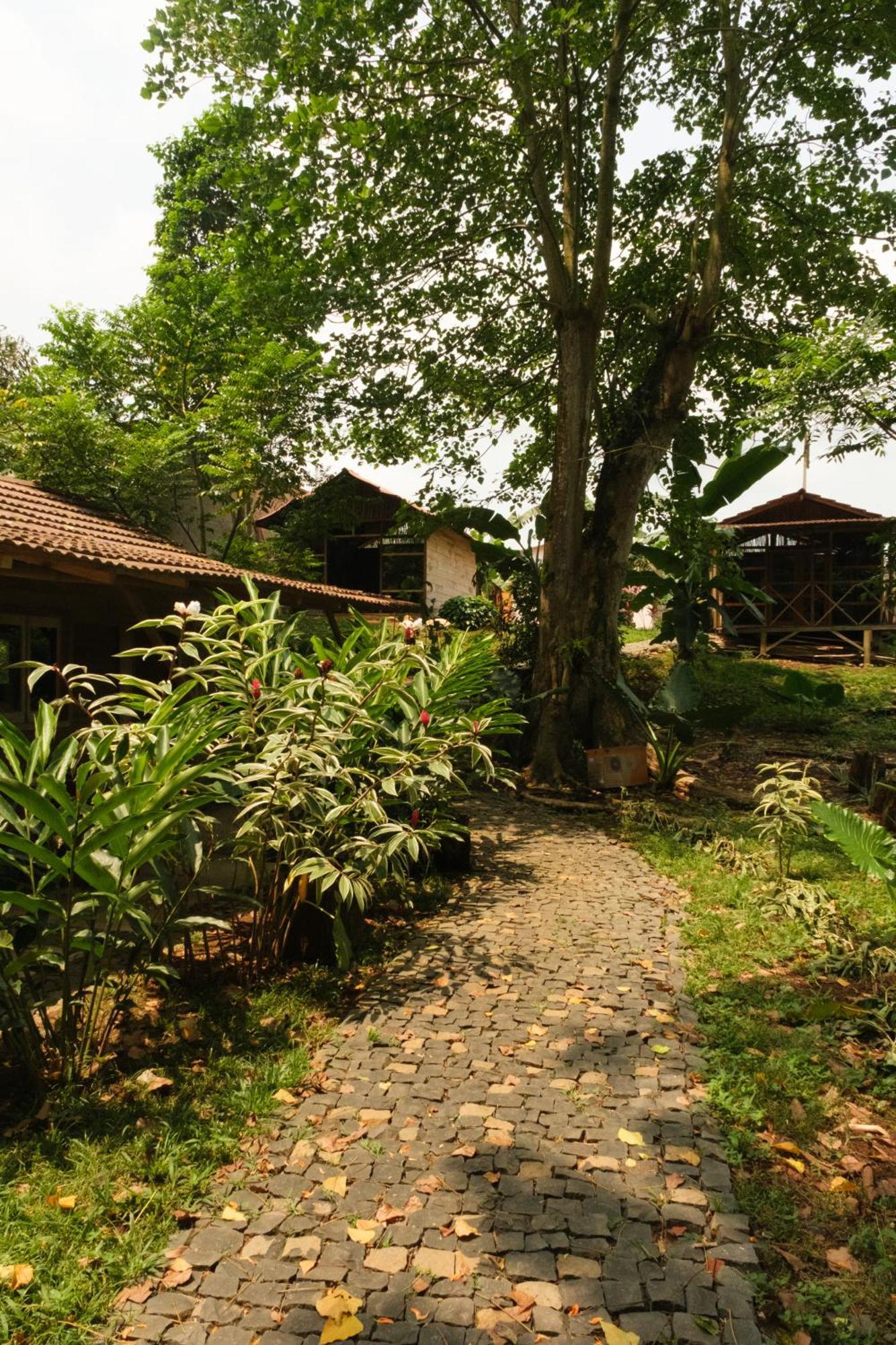 Roca Maria Helena-Principe Hotel Santo António Eksteriør billede